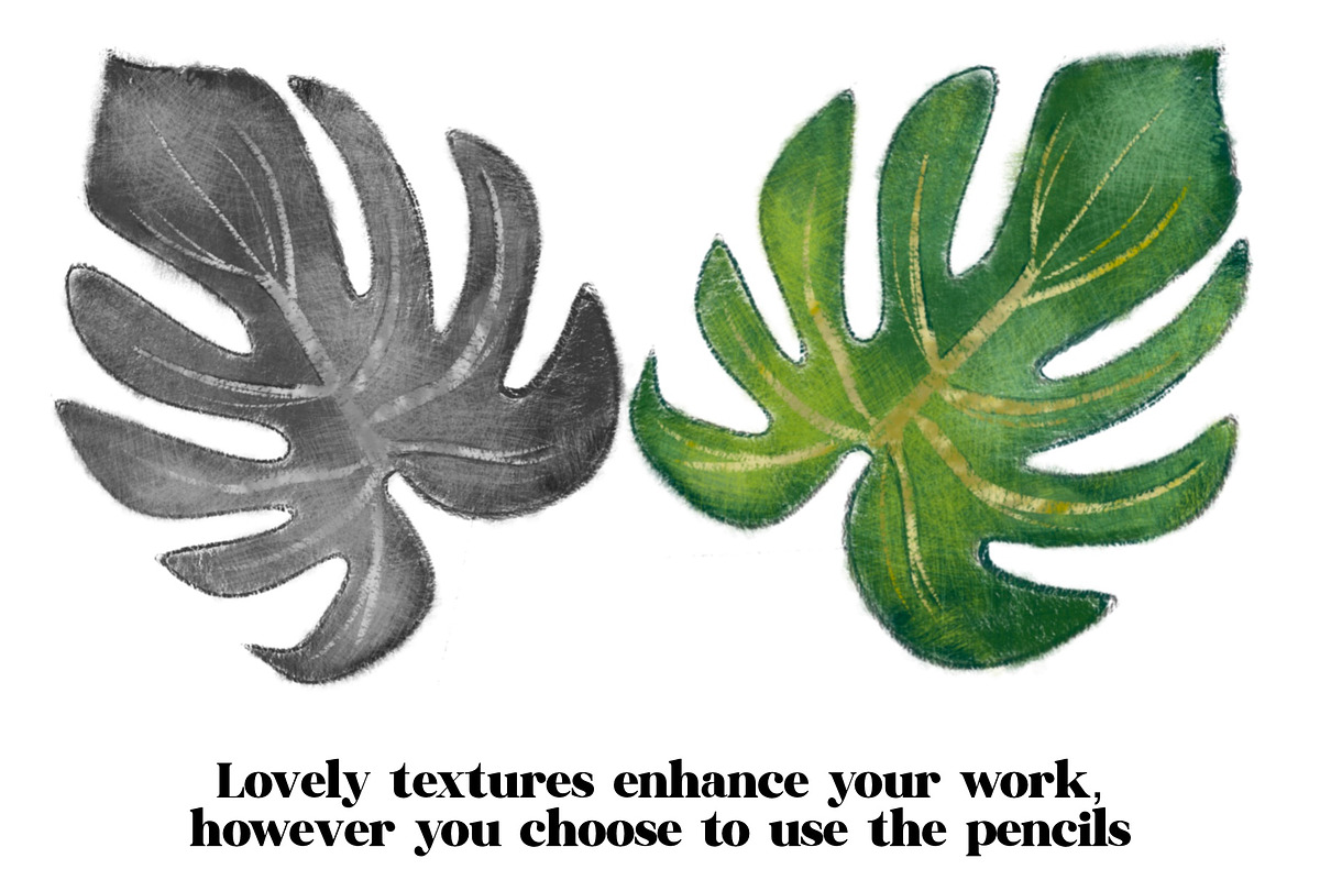 Pencil Brushes for Procreate, a Brush Add-On by KJP Designs (Photo 10 of 12)