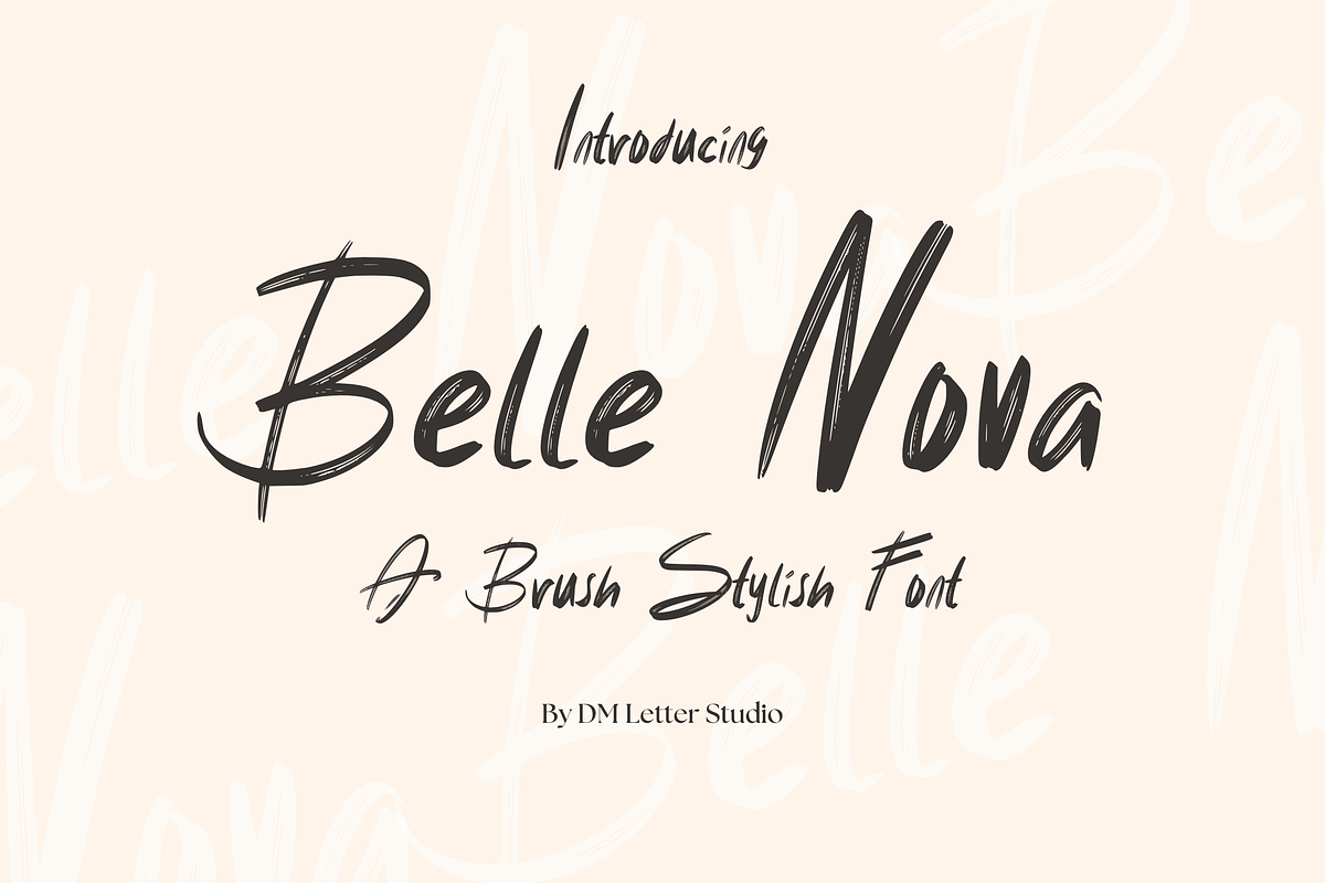 Belle Nova - Stylish Brush Font, a Handwritten Font by Dm Studio (Photo 1 of 10)