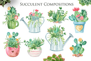 Succulents And Cacti. Watercolor.