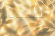 Blurry Floral Gradient Backgrounds, a Background Graphic by Kat Anti (Thumbnail 4 of 7)