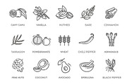 Antioxidant Food Icons, a Food Illustration by Tettygreen (Thumbnail 3 of 3)