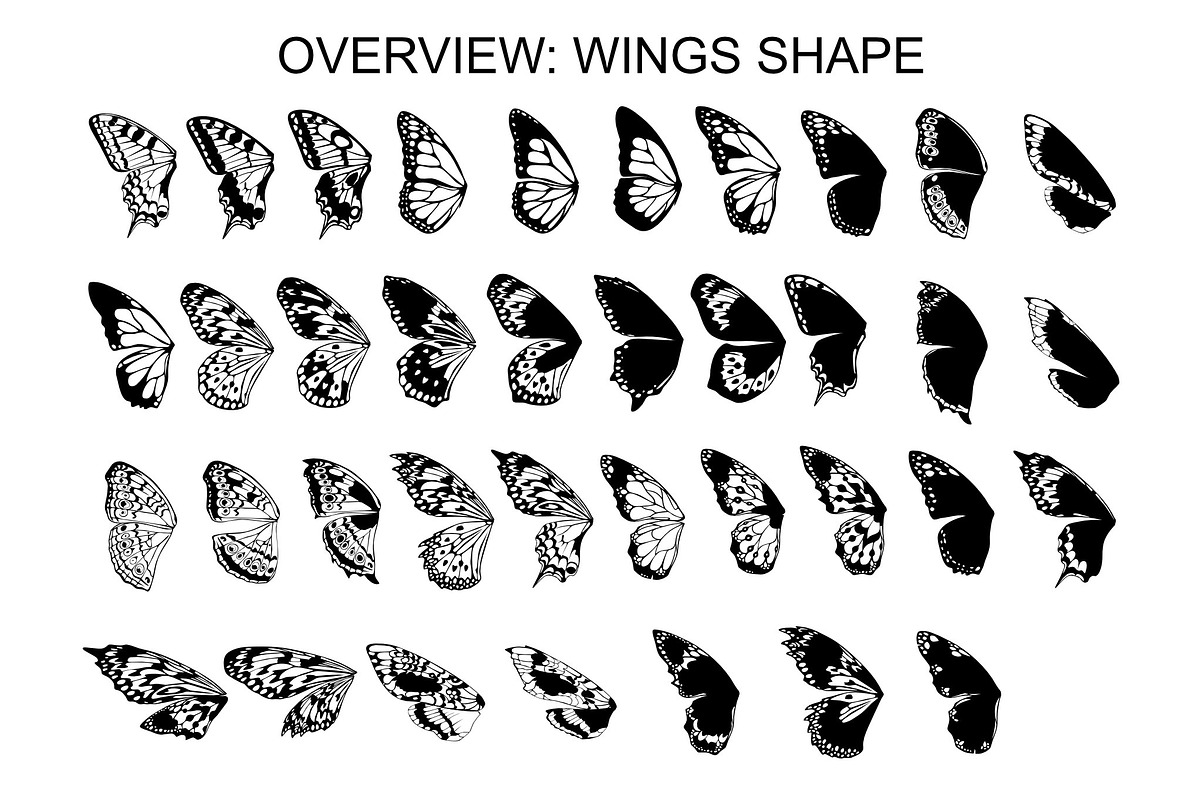 Wings & Butterfly(SVG, PNG Brushes), a Brush Add-On by xresch (Photo 21 of 22)