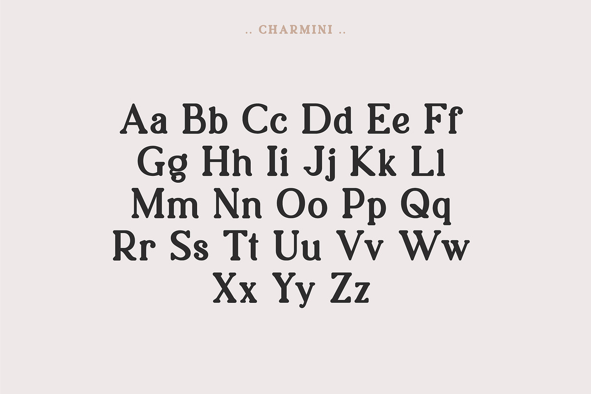 Charmini. Serif font family., a Serif Font by Luxfont (Photo 9 of 12)