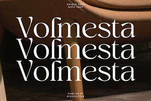 Megalky Modern Elegant Serif Font