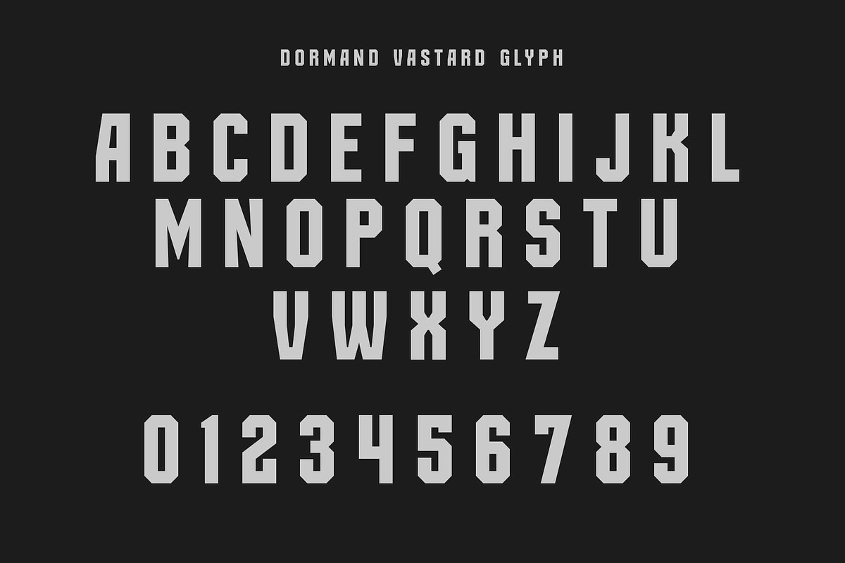 Dormand Vastard, a Sans Serif Font by senzana (Photo 9 of 9)