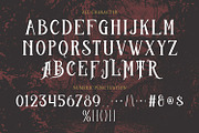 Borny Corry Decorative Luxury Displa, a Serif Font by Maulana Creative (Thumbnail 7 of 7)