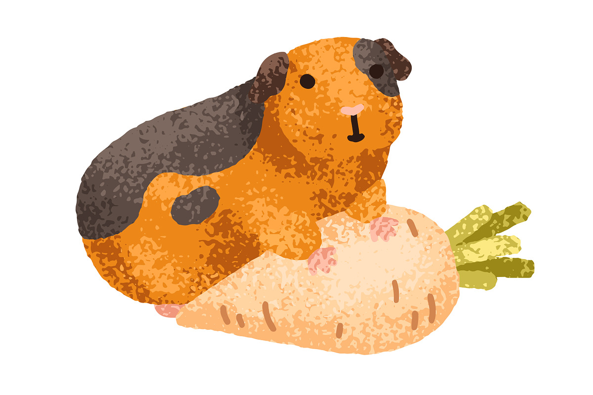 Cute, funny guinea pig animals set, an Animal Illustration by Good Studio (Photo 7 of 14)