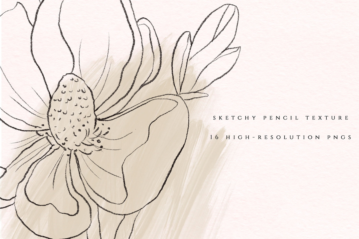 Modern Magnolia Floral Illustrations, an Illustration by Fire Spark Studio (Photo 2 of 9)