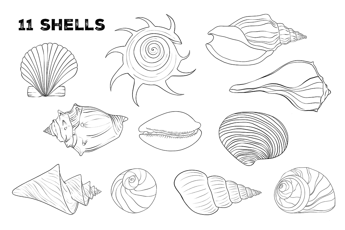 Sea Hand drawn Clipart - PNG, a Decorative Illustration by Ink by Stefi (Photo 2 of 4)