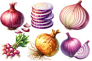 Watercolor Onion Clipart, an Illustration by Designworld (Thumbnail 5 of 6)