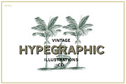 Landscape Vintage Illustrations, an Education Illustration by hypegraphic (Thumbnail 5 of 5)