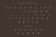 Lucia Arditsy Signature, a Script Font by Randi Irvan | Rvandtype (Thumbnail 10 of 12)