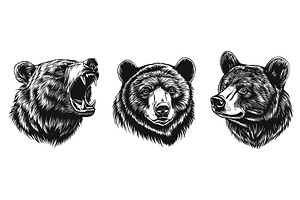 Brown bear head portrait set, an Animal Illustration by Valerie Bodnar