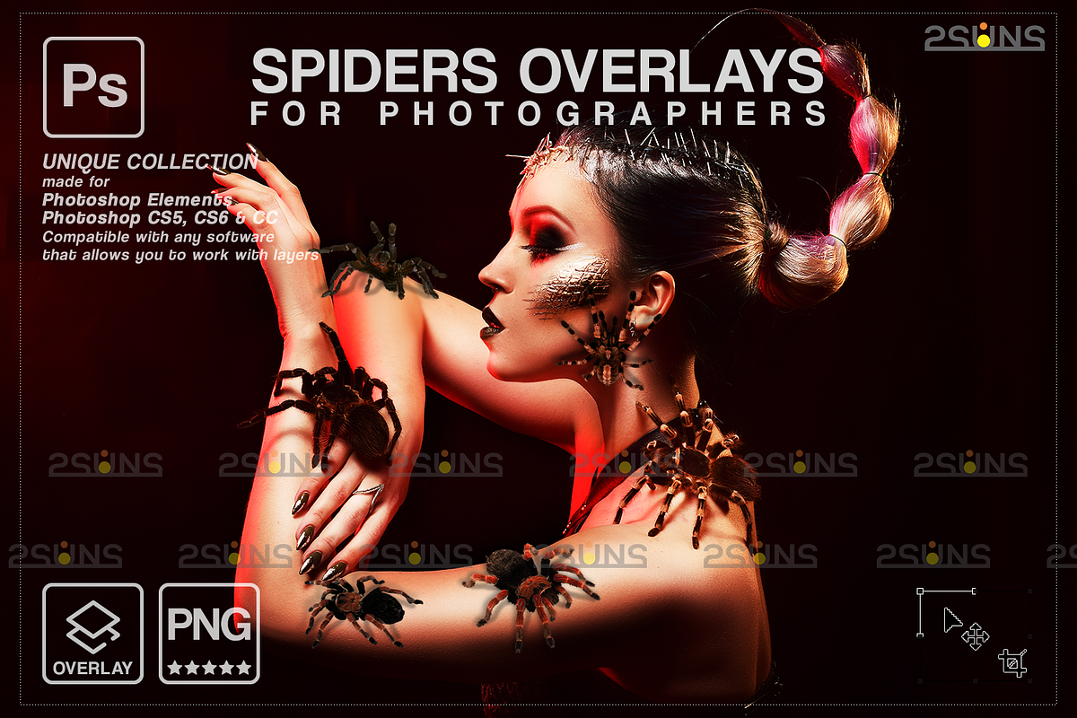 Spider Photoshop overlays, an Object Graphic by 2SUNS (Photo 1 of 9)