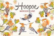 watercolor hoopoe bird clipart, an Illustration by Art & Things (Thumbnail 1 of 5)