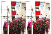 Fuji Astia 100F Lightroom Presets, an Action Add-On by Daily Studio (Thumbnail 4 of 10)