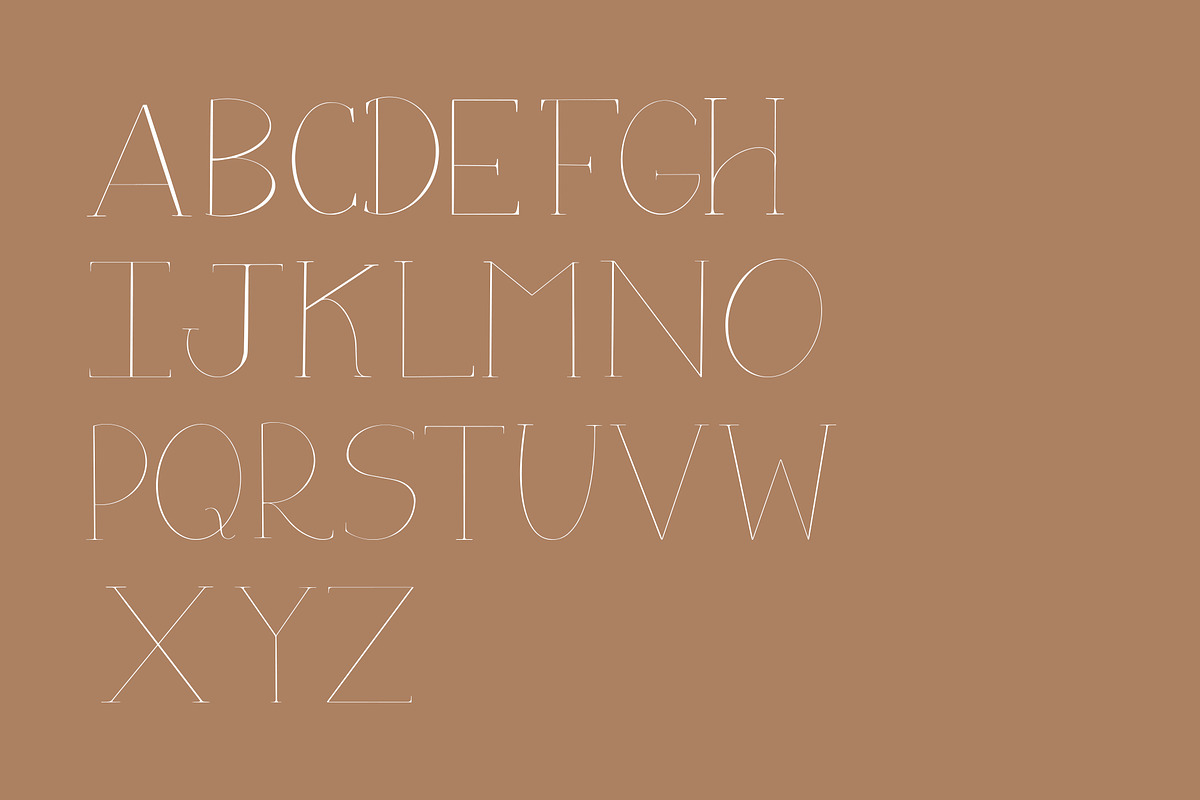 Flora Serif - Modern Serif Font preview 4