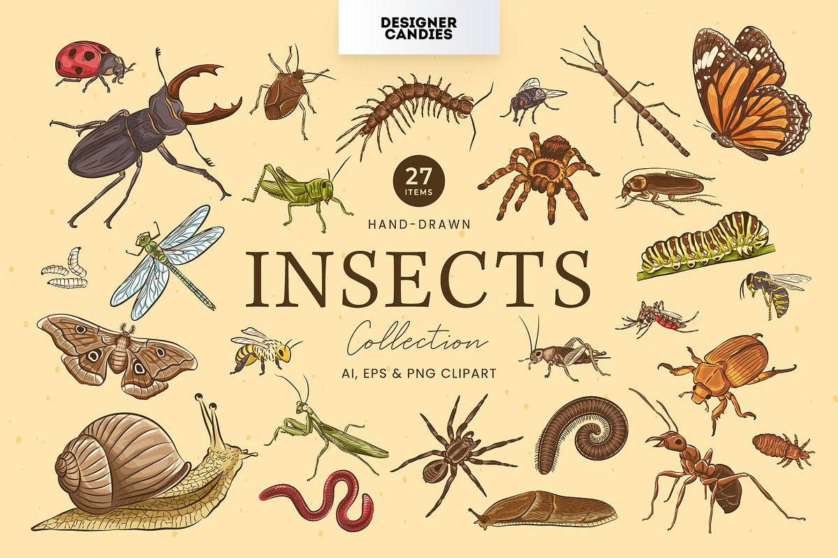 Insects Illustrations, an Object Graphic by DesignerCandies