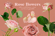 Collage box Paint&Petals, an Object Graphic by Anna's Creative Store (Thumbnail 4 of 12)
