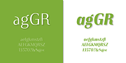 Instance PRO, a Sans Serif Font by preussTYPE (Thumbnail 6 of 9)