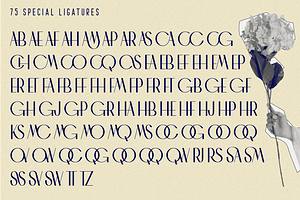 CHAMAN ELEGANT FONT