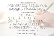 Amsterdam Signature | Script Font, a Handwritten Font by Scratchones (Thumbnail 7 of 8)