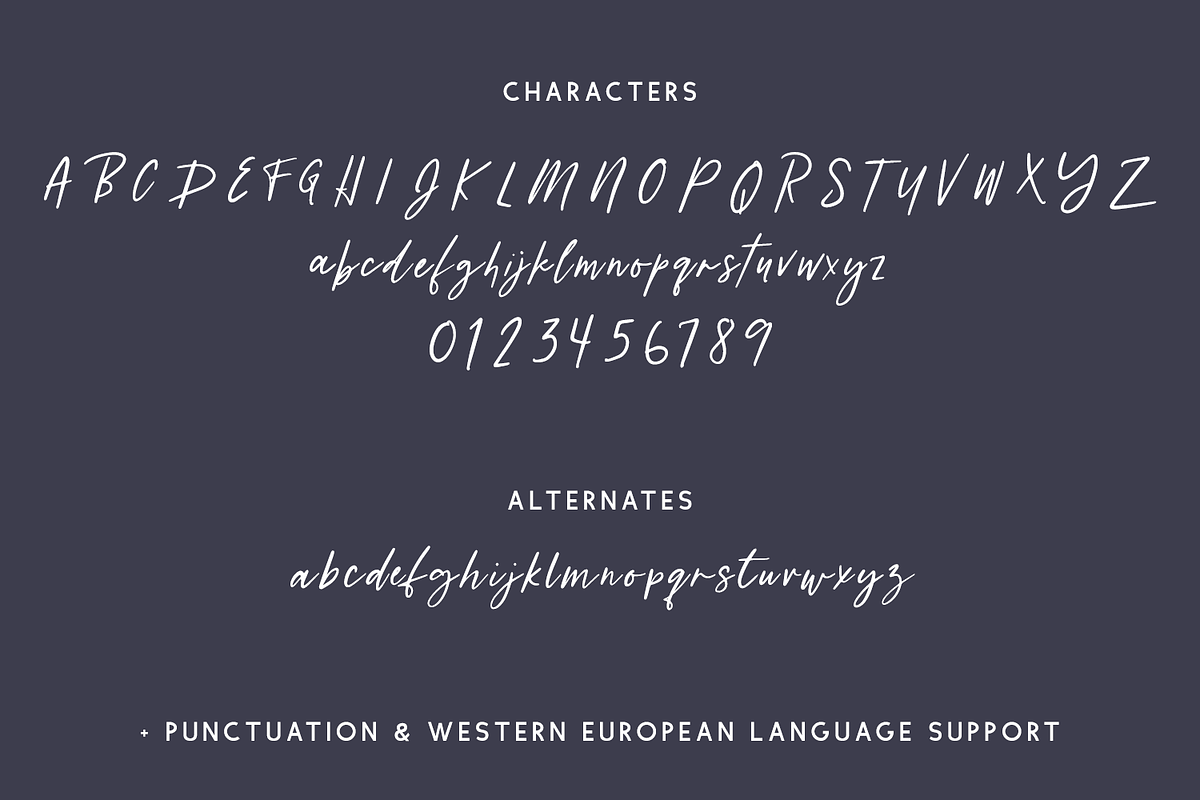 Lanarkshire Script, a Script Font by Beck McCormick (Photo 10 of 10)
