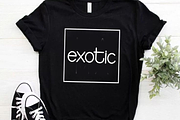 Typotext, a Sans Serif Font by FreshTypeINK (Thumbnail 2 of 8)