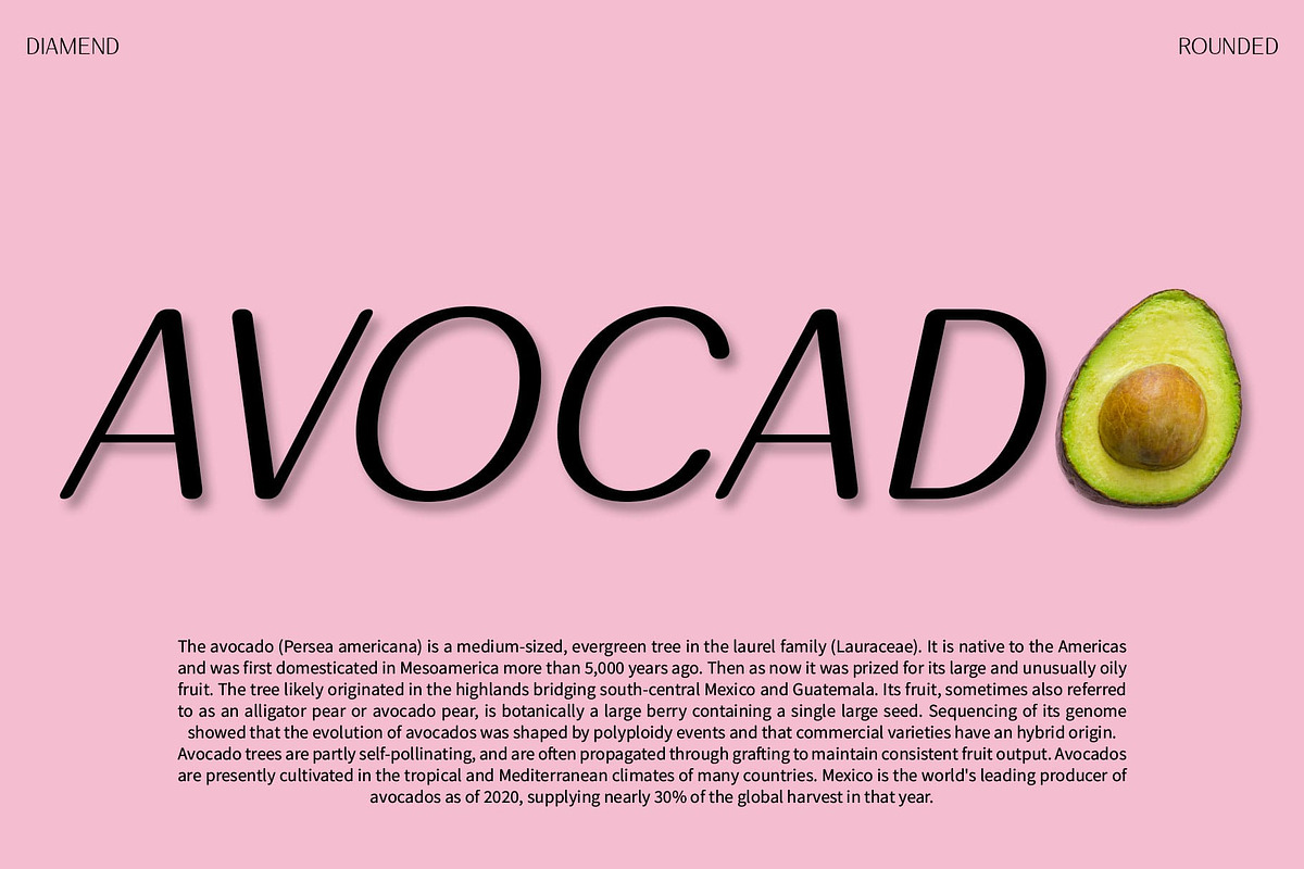 Diamend Rounded, a Sans Serif Font by Craft Supply Co. (Photo 8 of 8)