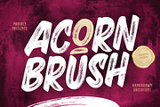 Acorn Brush Font, a Handwritten Font by Burhan Afif (Thumbnail 1 of 6)