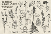 Forest Life Line Art + Procreate, an Object Illustration by Skliarova (Thumbnail 2 of 6)