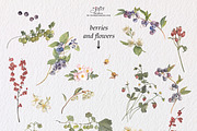 Berries, an Illustration by patriziamoscone (Thumbnail 2 of 9)