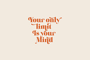 Wonder Magnolia Vintage Font, a Serif Font by supfonts (Thumbnail 6 of 10)