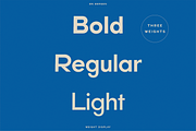 BN Bergen, a Sans Serif Font by Bnick (Thumbnail 2 of 11)
