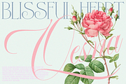 GEFUHATPIN — Elegant Calligraphy, a Script Font by Enxyclo Studio (Thumbnail 19 of 23)
