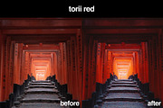 11 Japanese Lightroom Presets, a Preset Add-On by Gridfiti (Thumbnail 3 of 12)
