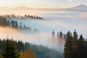 Autumn Carpathians, Ukraine., a Nature Photo by YuriyB