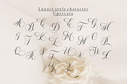 Zimbara, a Script Font by Slex Studio (Thumbnail 9 of 11)