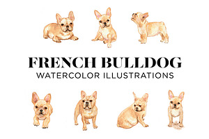 French Bulldogs