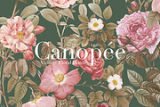 Canopée Botanical Floral Prints, a Pattern Graphic by LEAFure (Thumbnail 1 of 8)