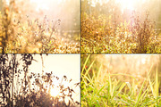 Bundle fall photos /240+pics, a Templates & Theme by tydla (Thumbnail 9 of 11)