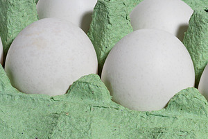 White chicken eggs in a green cardboard tray, a Food & Drink Photo by ndanko