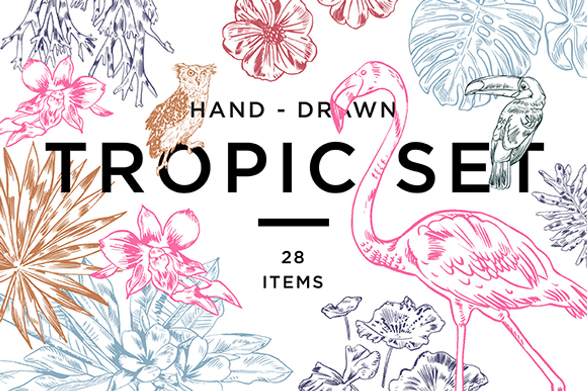 TROPIC SET, an Animal Illustration by Tanya Akhmett (Photo 1 of 5)