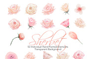 Watercolor Flowers - Sherbet, an Illustration by Feather Grace Designs (Thumbnail 6 of 7)