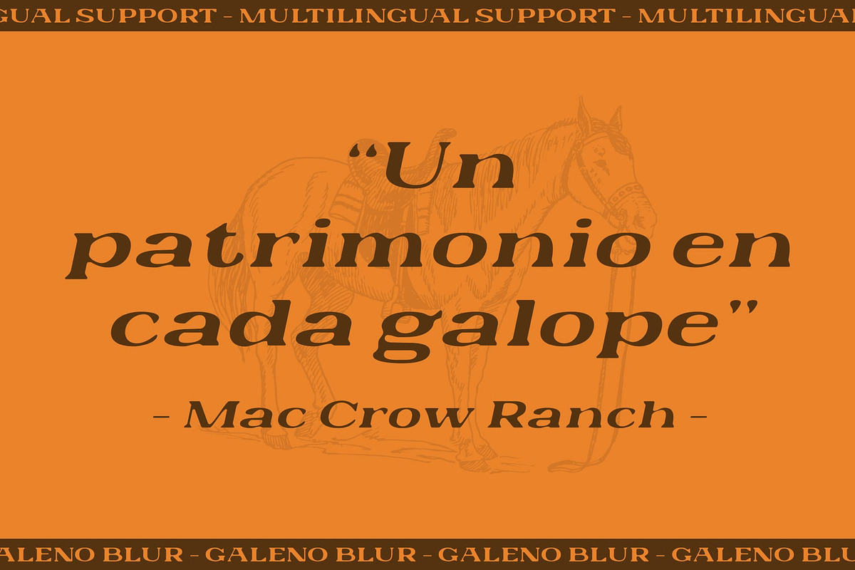 Galeno Blur, a Serif Font by Craft Supply Co. (Photo 5 of 8)
