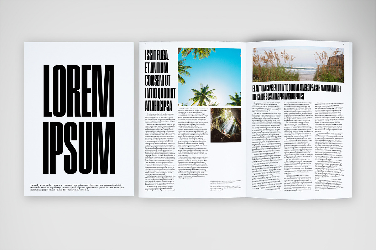 Bold Modern Newspaper preview 5