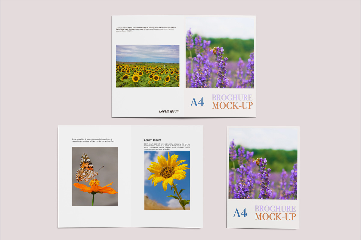 A4 Bifold Brochure Mockup, a Print Template by Beside Std (Photo 1 of 11)