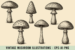 Vintage Mushroom Illustrations, an Illustration by Cool Worker