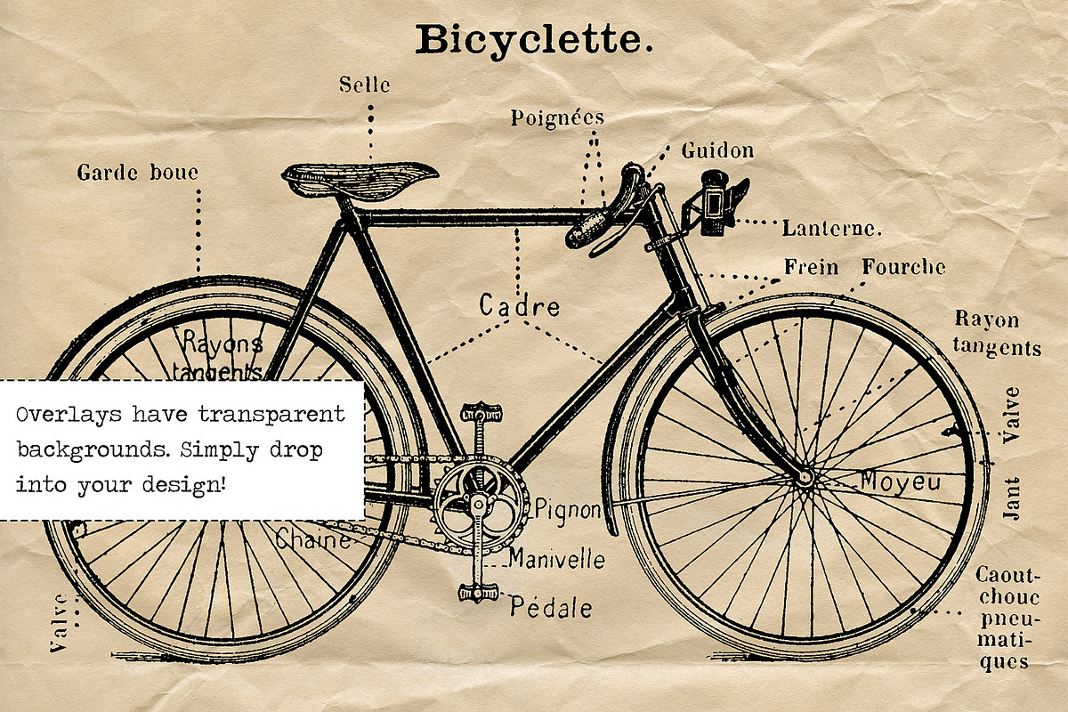 Essential Vintage French Graphics, a Graphic by French Kiss Collections (Photo 11 of 30)