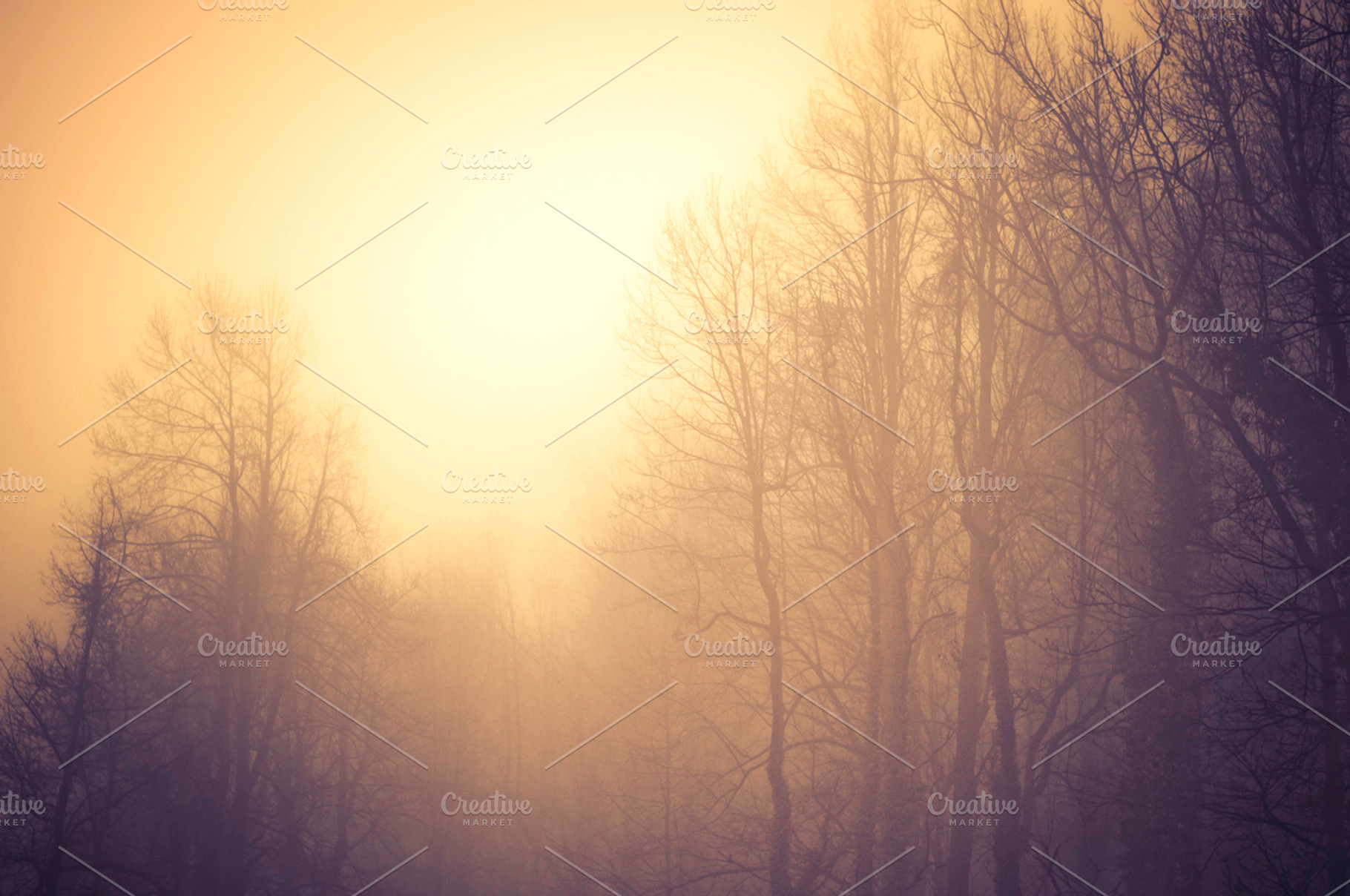 Misty Morning